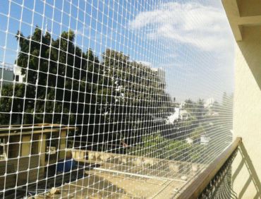 This Leader in Organic Agriculture Growth